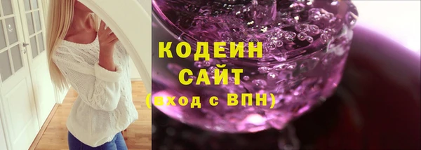 дурь Няндома