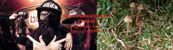 твердый Абаза